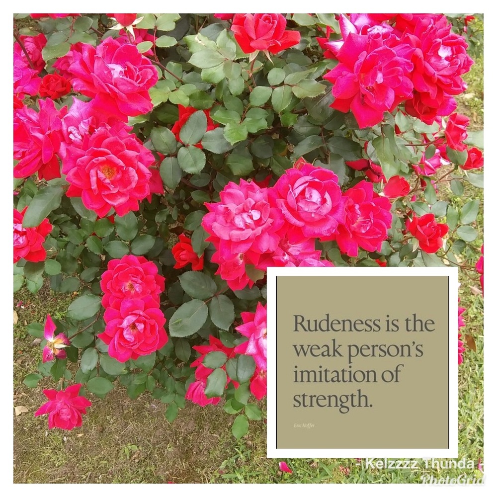 Trades welcomed here